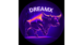 The DreamX logo